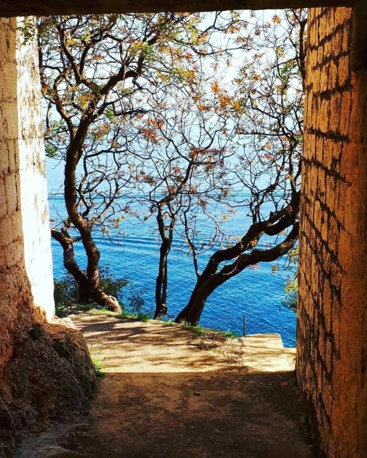 Eden Mediterranean House Vrsine Экстерьер фото